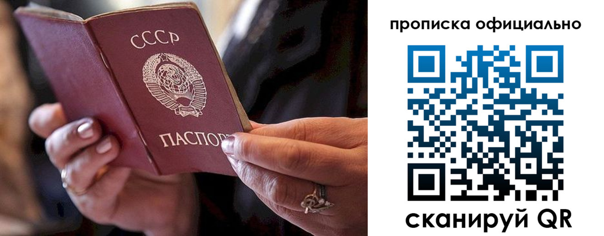 прописка в Димитровграде